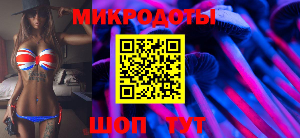 Галлюциногенные грибы Psilocybe Углич